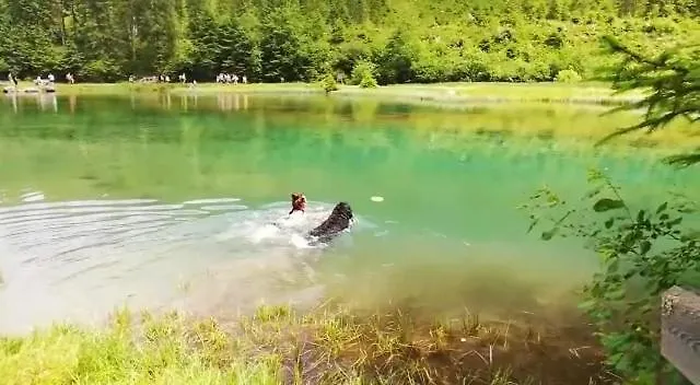 Stefanie アパート